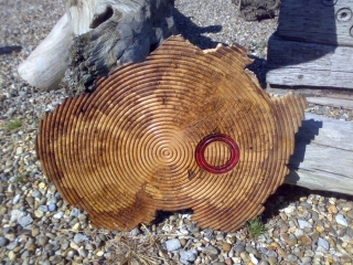 Burr Oak wall plaque. "The Red Heart of Oz"