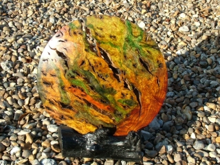 Burr Olive Ash discus form. Stained